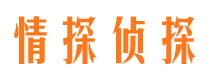 旬阳外遇调查取证